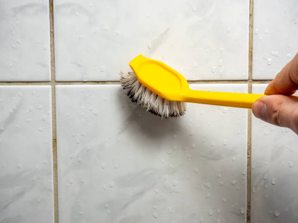 Best Mold Removal Near Me  in Mount Pocono, PA