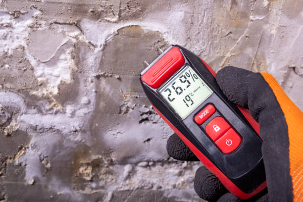Best Toxic Mold Removal  in Mount Pocono, PA