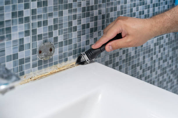Best Mold Testing  in Mount Pocono, PA